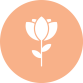 flower_11639289
